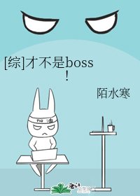 （BG/综同人）[综]才不是boss！
